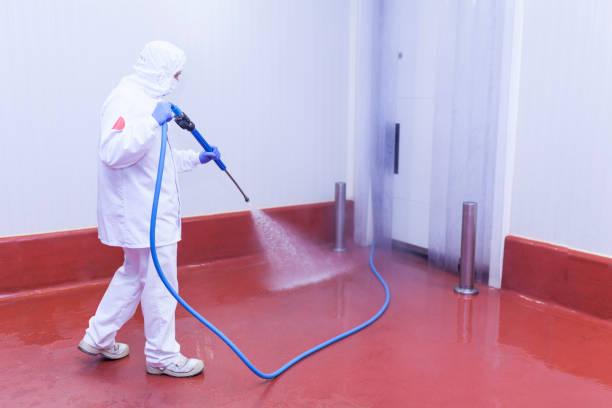 Best Sidewalk and Walkway Cleaning  in Russell, KY